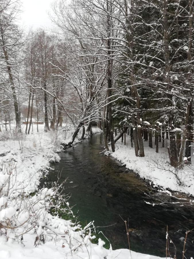 Guesthouse Nikolina Korenica Kültér fotó